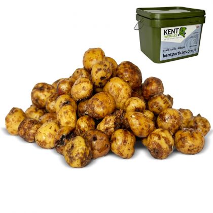 Kent Particles Prepared Tiger Nuts: click to enlarge