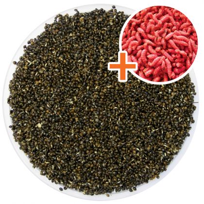 Kent Particles Prepared Hemp & Red Dead Maggots: click to enlarge