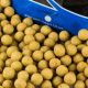 Urban Bait Urban Bait Shelf Life Boilies